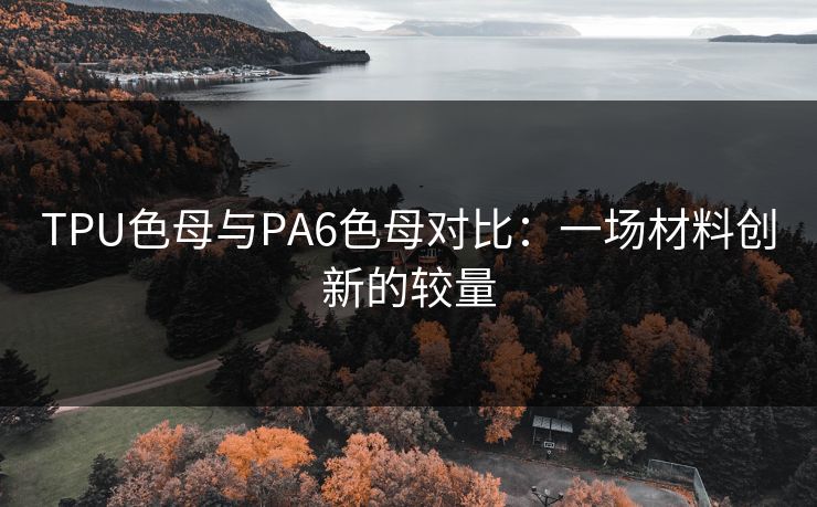 TPU色母与PA6色母对比：一场材料创新的较量