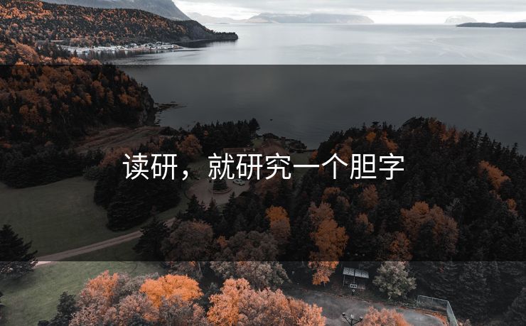 读研，就研究一个胆字