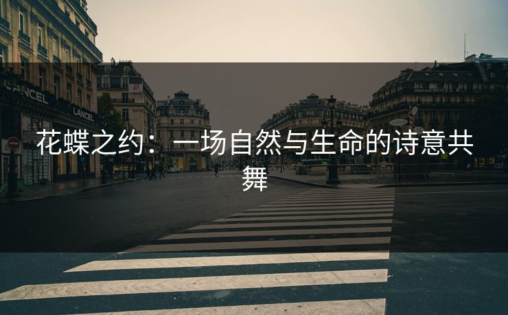 花蝶之约：一场自然与生命的诗意共舞