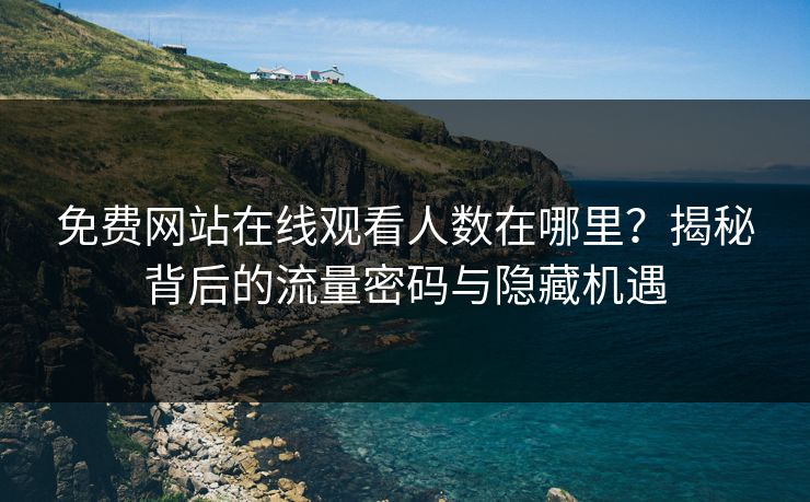 免费网站在线观看人数在哪里？揭秘背后的流量密码与隐藏机遇