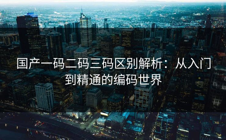 国产一码二码三码区别解析：从入门到精通的编码世界