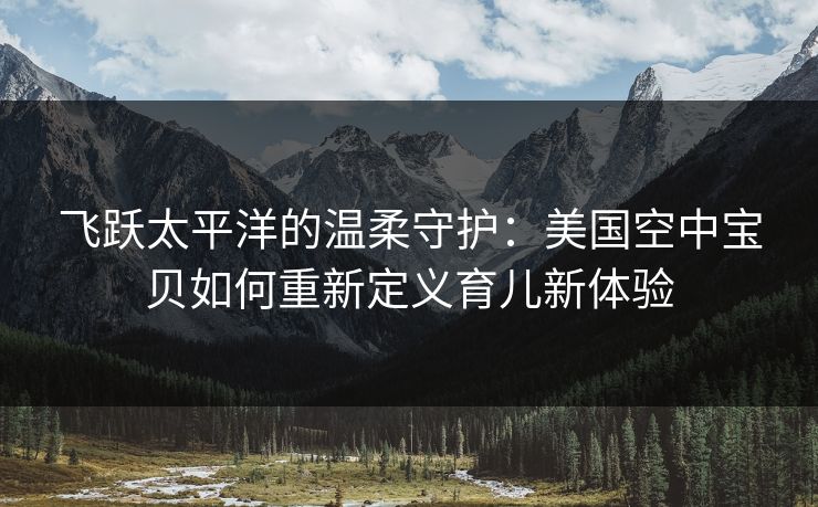飞跃太平洋的温柔守护：美国空中宝贝如何重新定义育儿新体验