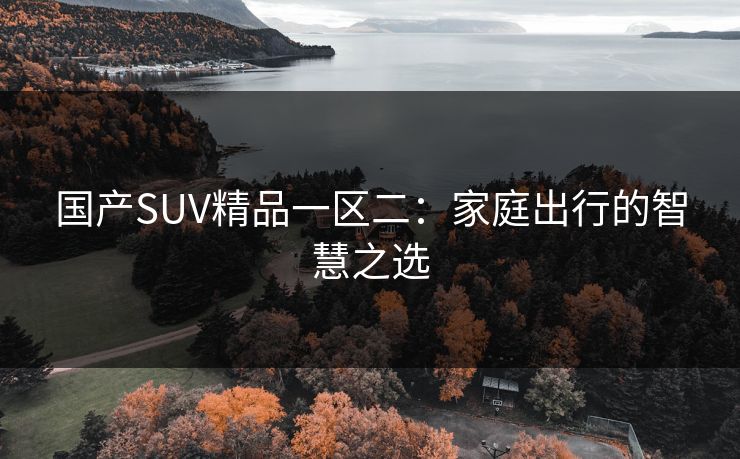 国产SUV精品一区二：家庭出行的智慧之选