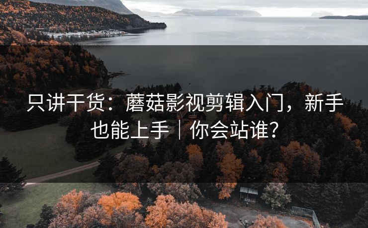 只讲干货：蘑菇影视剪辑入门，新手也能上手｜你会站谁？