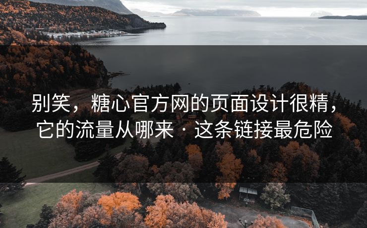 别笑，糖心官方网的页面设计很精，它的流量从哪来 · 这条链接最危险